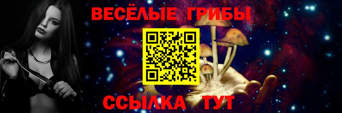 дарнет шоп  Галлюциногенные грибы Psilocybe  Вход с VPN  Белгород  Галлюциногенные грибы Cubensis 